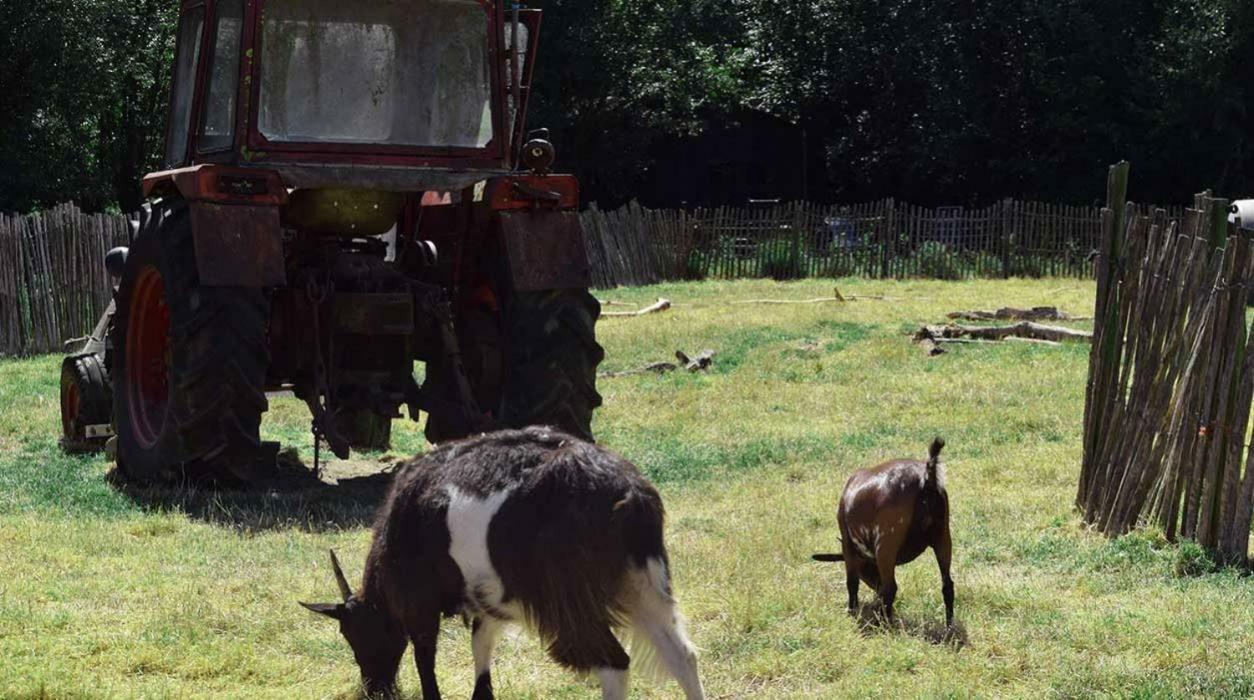 Hoeve De Pippert 호텔 Ophemert 외부 사진