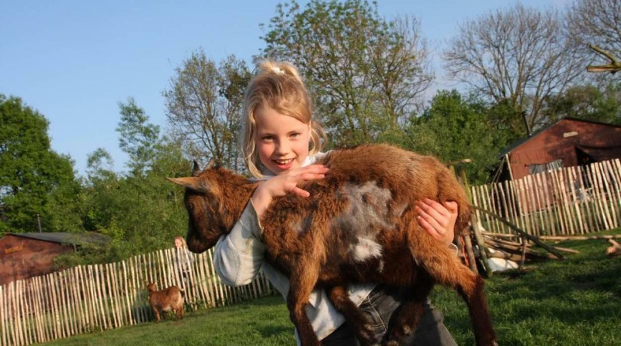 Hoeve De Pippert 호텔 Ophemert 외부 사진