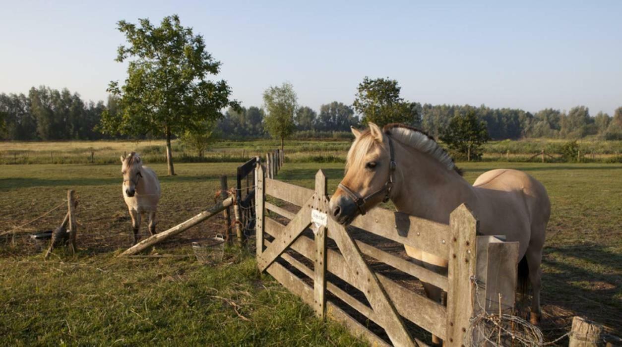 Hoeve De Pippert 호텔 Ophemert 외부 사진