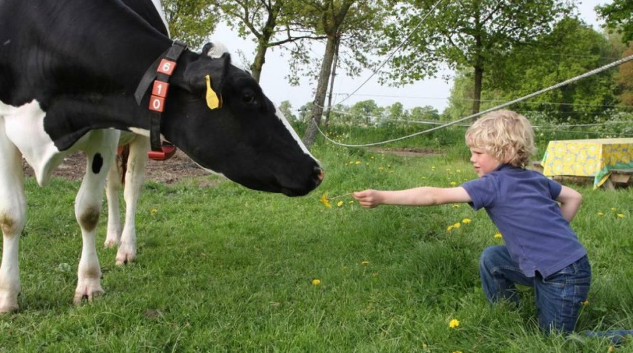Hoeve De Pippert 호텔 Ophemert 외부 사진
